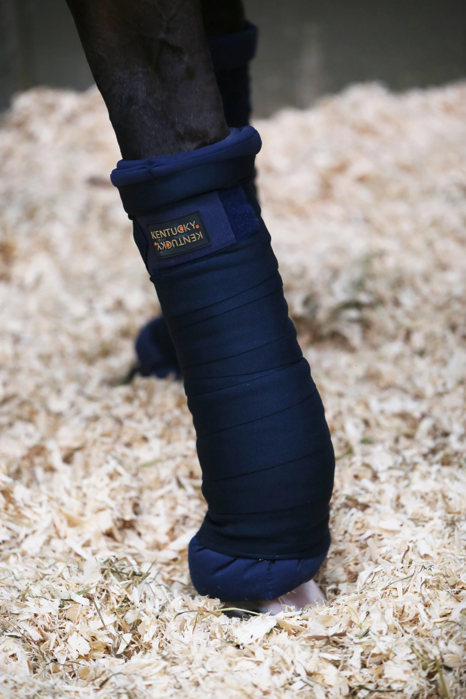 Stable Bandage Pads - Marineblau 2 Stable Bandage Pads - Marineblau - Image 2