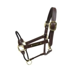 Lederhalfter Strick - Braun -Angebote Equinestor Store 42540 05 P