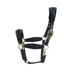 Halfter Glitzer - Schwarz