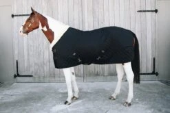 Show Rug 160 G - Schwarz