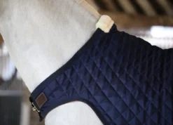 Walker Decke 160g - Navy -Angebote Equinestor Store 52105 scaled