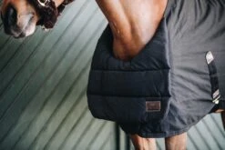 Brustschutz BIB Sommer - Schwarz -Angebote Equinestor Store 52113 01