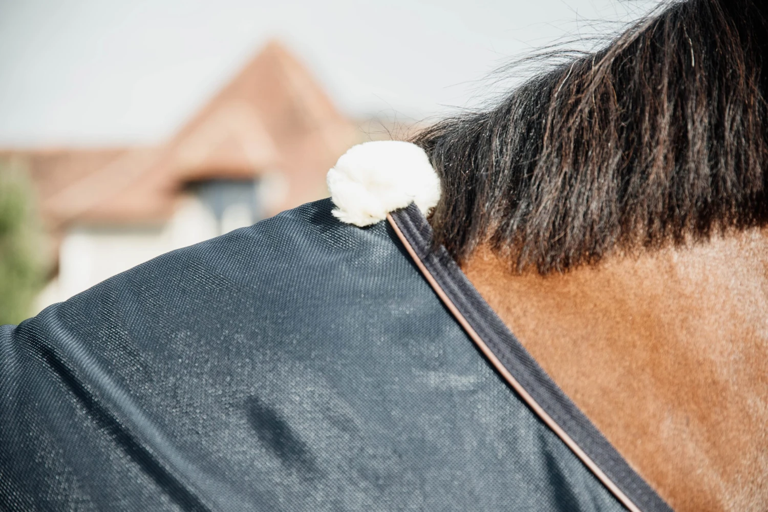 Mesh Fly Sheet - Marineblau 2 Mesh Fly Sheet - Marineblau - Image 2