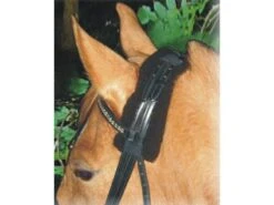 Angebote Equinestor Store -Angebote Equinestor Store 6051 0330 0022 1 3101