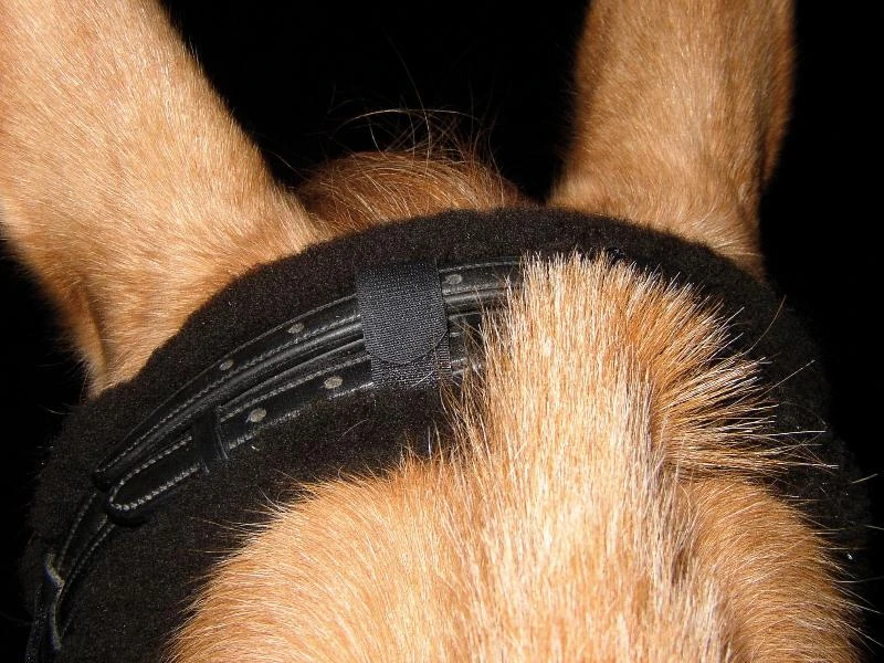 Nackenpad Trense - Anthrazit 3 Nackenpad Trense - Anthrazit - Image 3