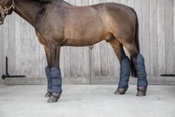 Transportschützer - Navy