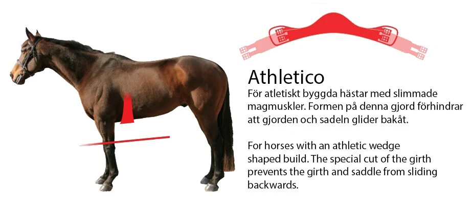 Sattelgurt Slim-Line Athletico - Braun 2 Sattelgurt Slim-Line Athletico - Braun - Image 2