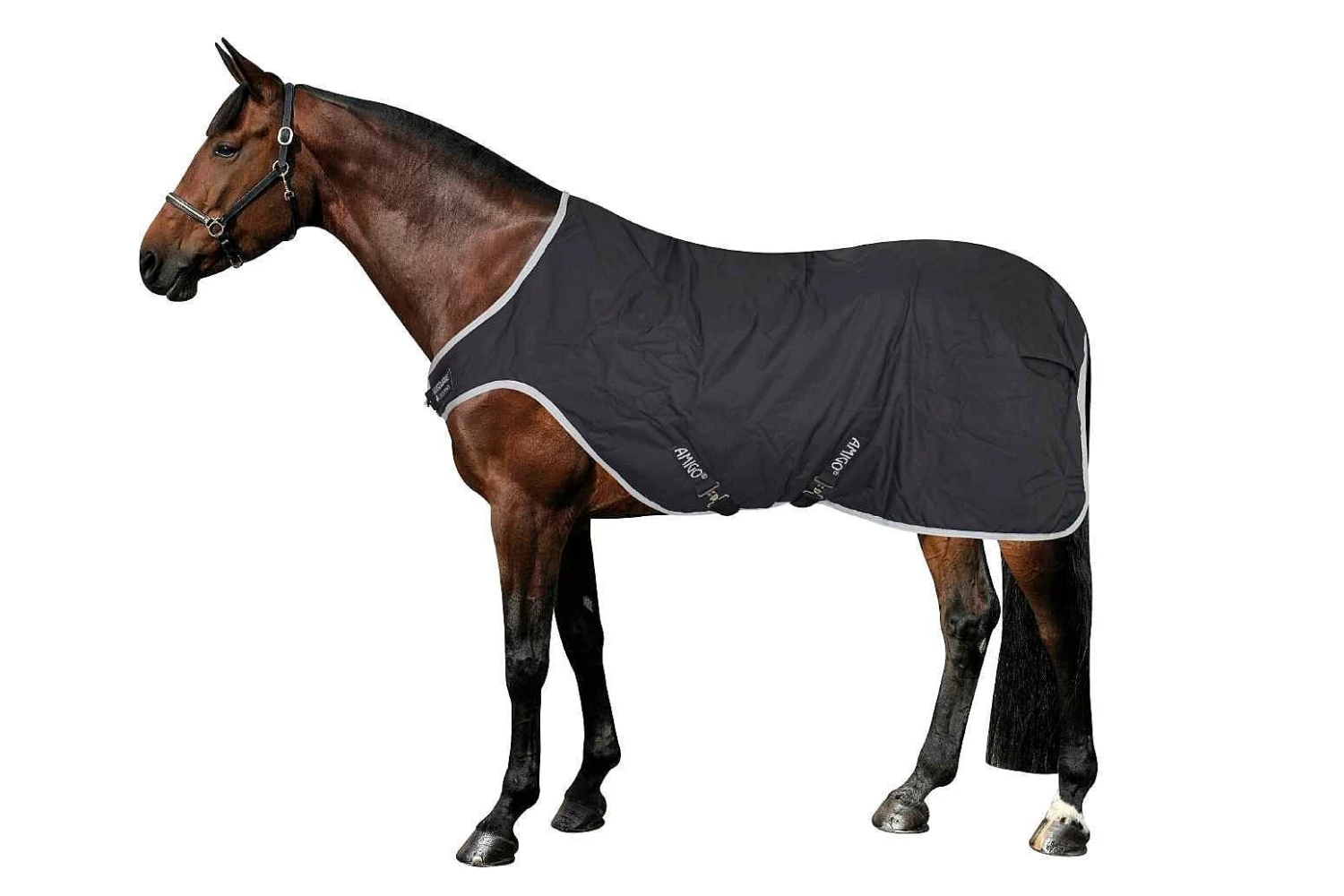 Amigo Walker Rug 200g - Schwarz 2 Amigo Walker Rug 200g - Schwarz - Image 2