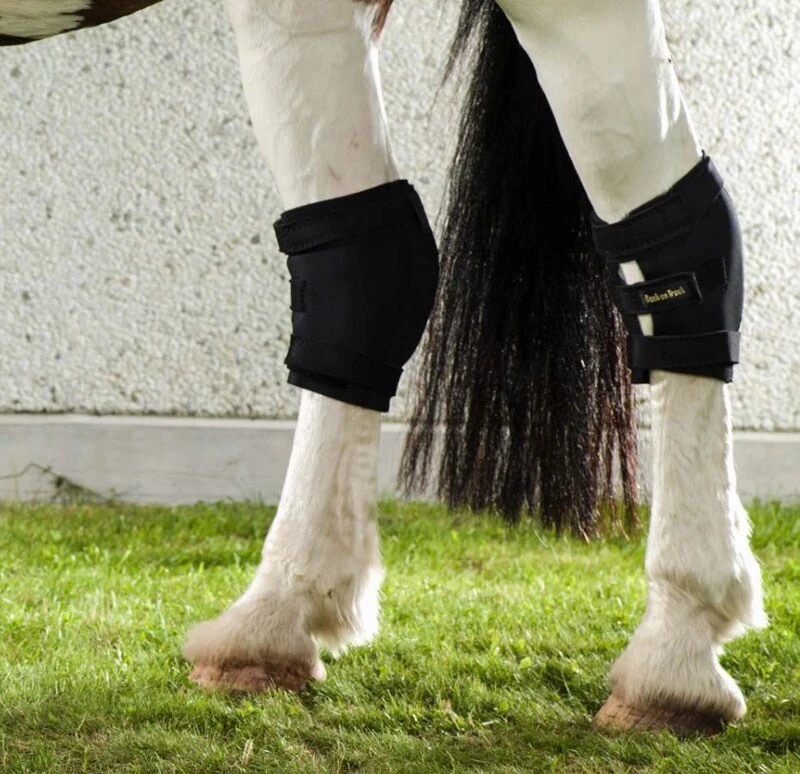 Sprunggelenkgamaschen 2 Sprunggelenkgamaschen - Image 2