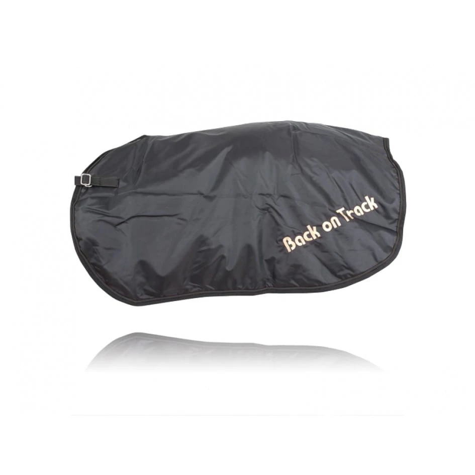 Nierendecke 1 Nierendecke