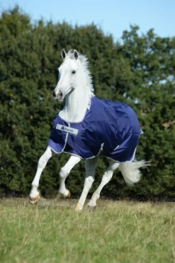 Atlantic Turnout 50 G - Marineblau