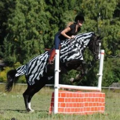 Buzz-Off Riding, Zebra -Angebote Equinestor Store BU 560 2 3788