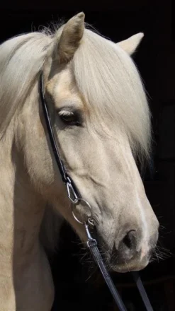 Kopfstück Alisa Mit Haken - Schwarz