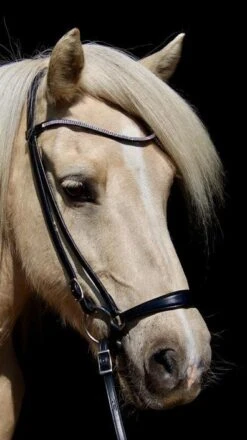 Stirnband Alisa Strass - Schwarz