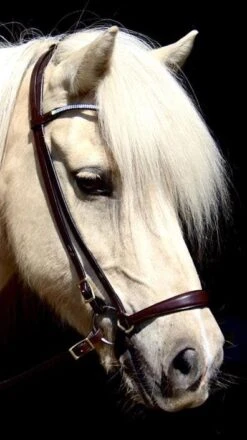 Stirnband Alisa Strass - Braun