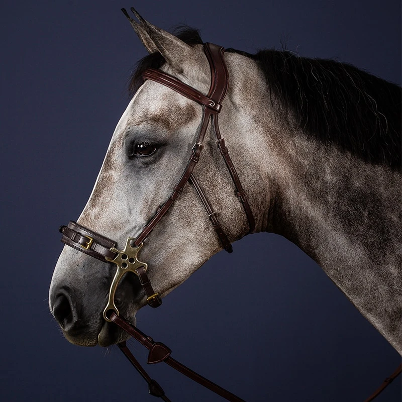 Zaumzeug Für Hackamore - Schwarz 2 Zaumzeug Für Hackamore - Schwarz - Image 2