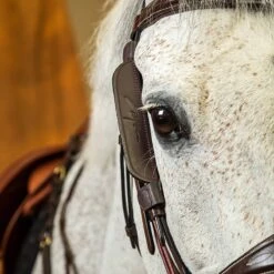 Dyón Fokus Für Backenstücke - Braun