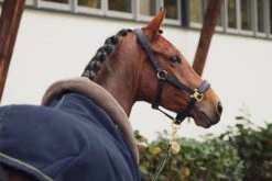 Abschwitzdecke Polarfleece Mit Hals - Marineblau -Angebote Equinestor Store ES 126155 277 380 3