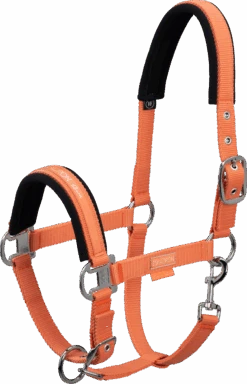 Halfter - Soft Peach