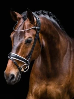 Finesse Flat Bridle Cayenne - Schwarz/Weiß