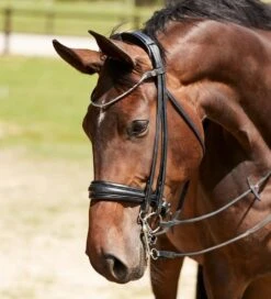 Finesse Kandare Cayenne Lack - Schwarz