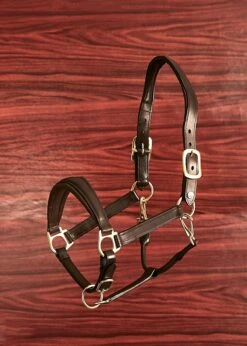 Finesse Halfter Braun - Full