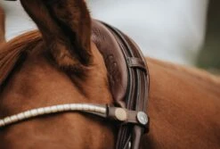 Finesse Bridle - Braun/Beige -Angebote Equinestor Store FB trans.bbe 4