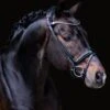 Finesse Bridle Himalaya - Schwarz