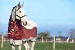 Rambo Summer Series DF - Grey/Burgundy