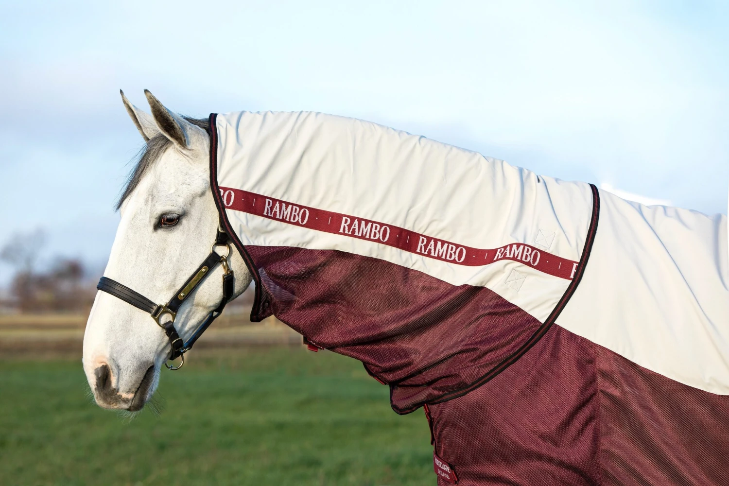 Rambo Summer Series DF - Grey/Burgundy 2 Rambo Summer Series DF - Grey/Burgundy - Image 2