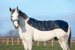 Rambo Summer Series DF - Grey/Burgundy 7 Rambo Summer Series DF - Grey/Burgundy -Angebote Equinestor Store HW AAATKS JQKQ 4