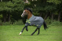 Amigo Hero 900 Lite DF - 0 Gr -Angebote Equinestor Store HW AAMT90 JGLG2 scaled