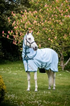 Amigo Plant-Dye T/O - 50gr