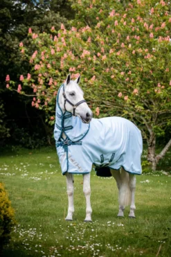 Amigo Plant-Dye T/O - 50gr