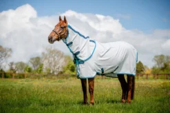 Amigo Aussie Allrounddecke DF - Marineblau