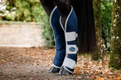 Amigo Ripstop Transportschützer 5 Amigo Ripstop Transportschützer -Angebote Equinestor Store HW DBPT00 BI00 HO2 scaled