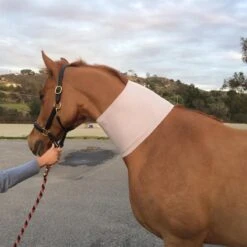 Kompressions-Halsteil