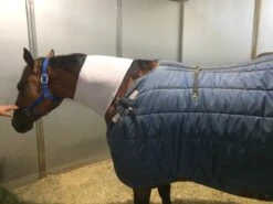 Kompressions-Halsteil -Angebote Equinestor Store IW ENS01 3