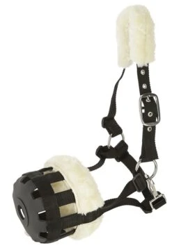 Fressbremse Mit Teddy