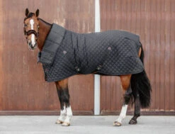 Unterdecke Duvet 300g - Schwarz -Angebote Equinestor Store KEN 42144 01 4