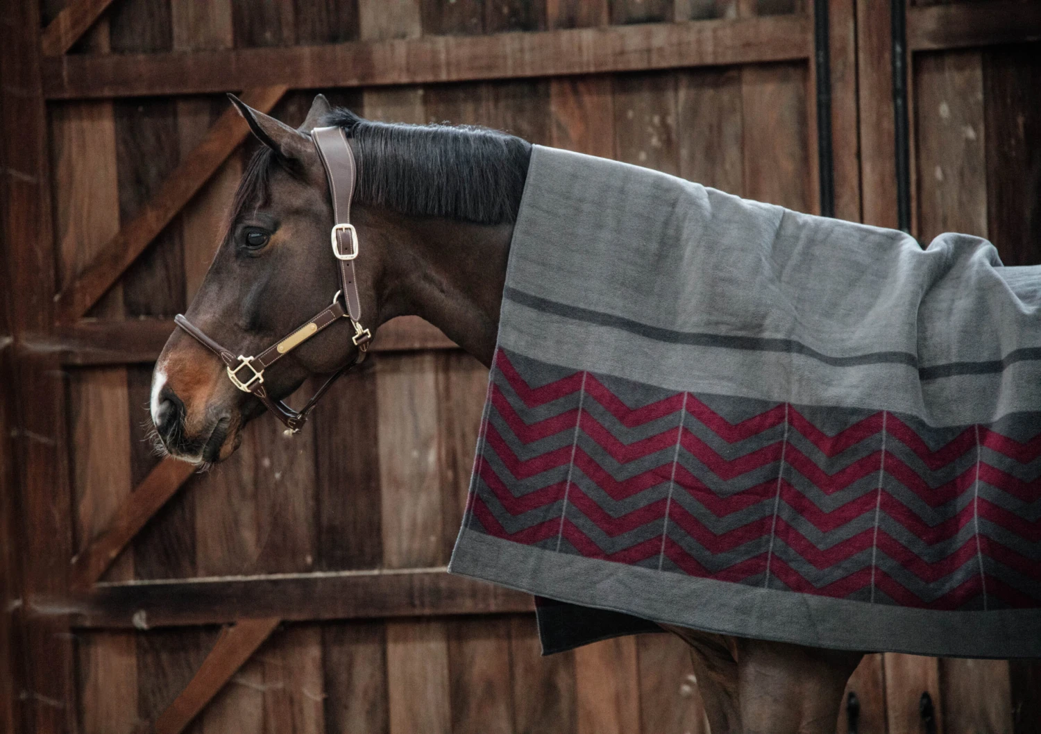 Heavy Fleece Rug Square - Grau/Bordeaux 2 Heavy Fleece Rug Square - Grau/Bordeaux - Image 2