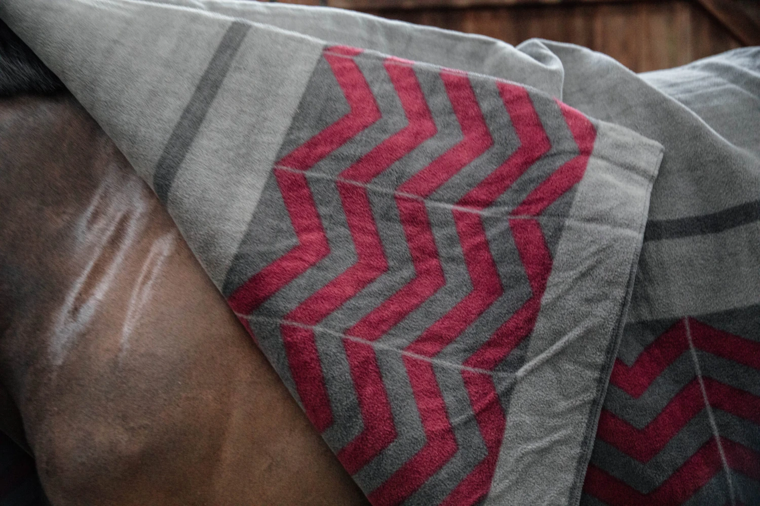 Heavy Fleece Rug Square - Grau/Bordeaux 3 Heavy Fleece Rug Square - Grau/Bordeaux - Image 3