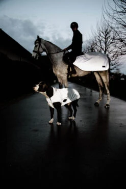 Reflex-Reitdecke -Angebote Equinestor Store KEN 52177 4