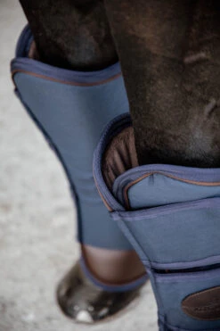 Transportschützer - Navy -Angebote Equinestor Store KEN 82144 03 5