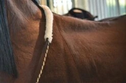 Wolldecke - Braun/Gold -Angebote Equinestor Store M 160 BK 3