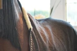 Wolldecke - Grau/Silber -Angebote Equinestor Store M 160 GS 3