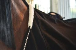 Wolldecke - Schwarz/Silber -Angebote Equinestor Store M 160 SK 3