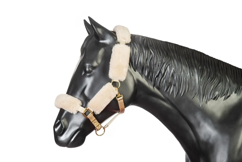 Lammfellhalfter & Strick - Walnuss 1 Lammfellhalfter & Strick - Walnuss