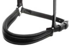 Hannoveranischer Nasenriemen OS - Eigenes Design