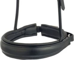 Nasenriemen XL 5 Cm Kandare - Eigenes Design